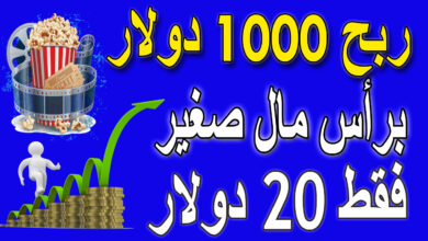 الربح من الانترنت 1000 دولار براس مال صغير