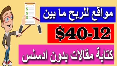 الربح-من-الكتابة-فقط-نسخ-و-لصق-الربح-من-الانترنت